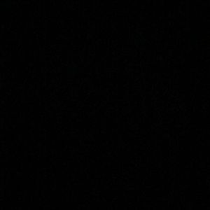 Meet your Posher, Zoey